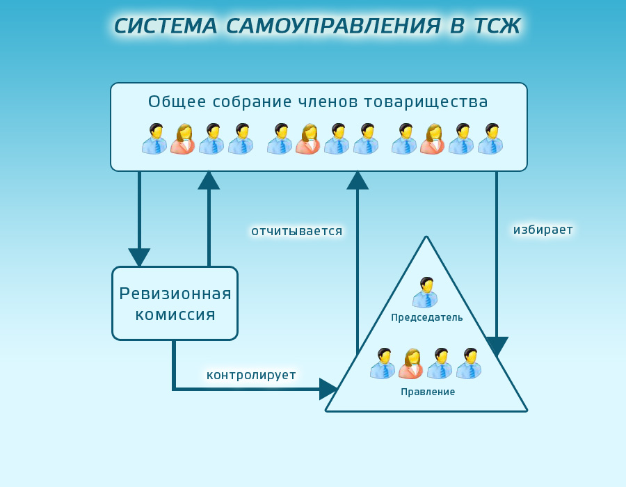 Управление структура